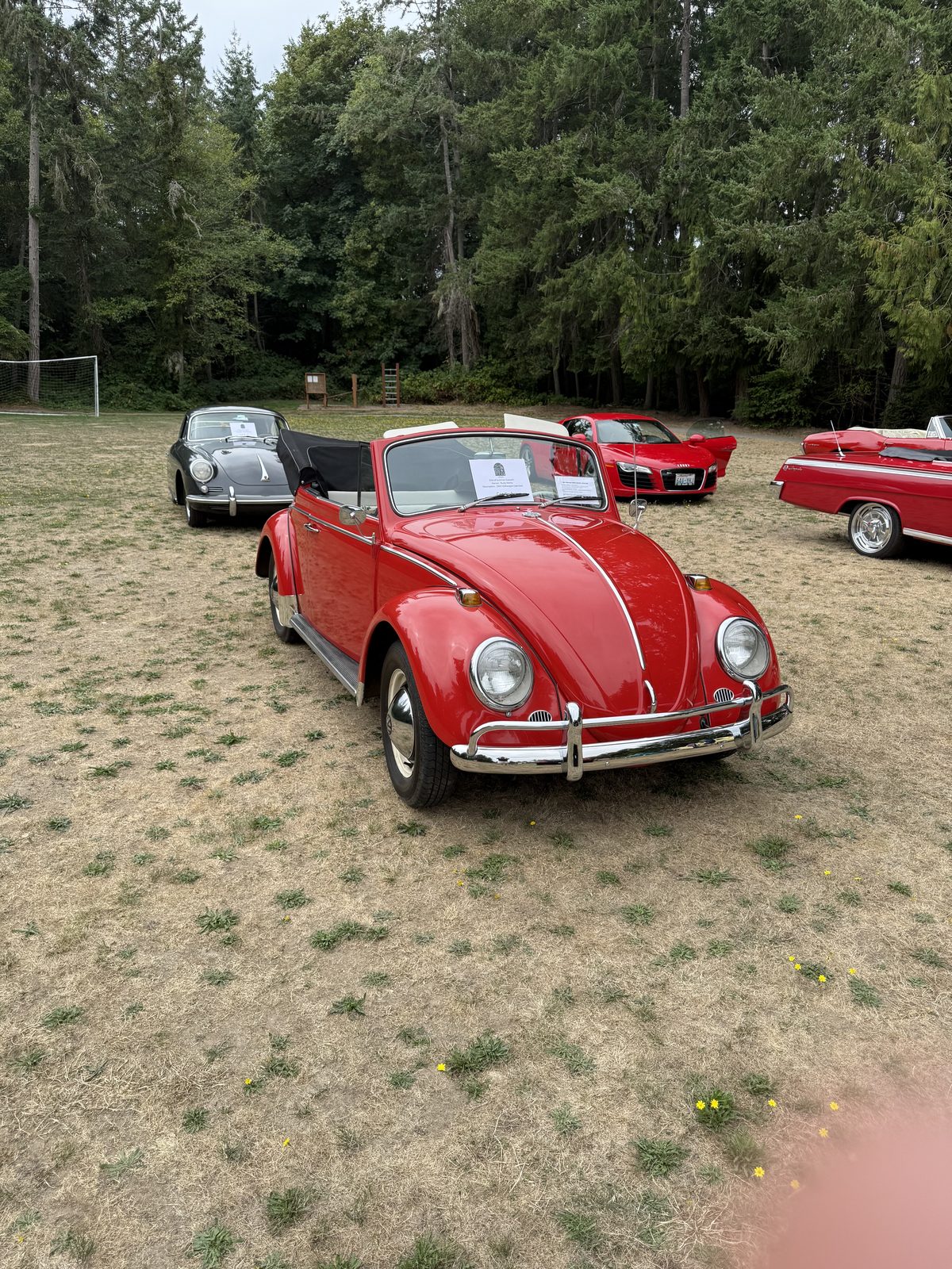 1965 VW Beetle Cabriolet at a car show