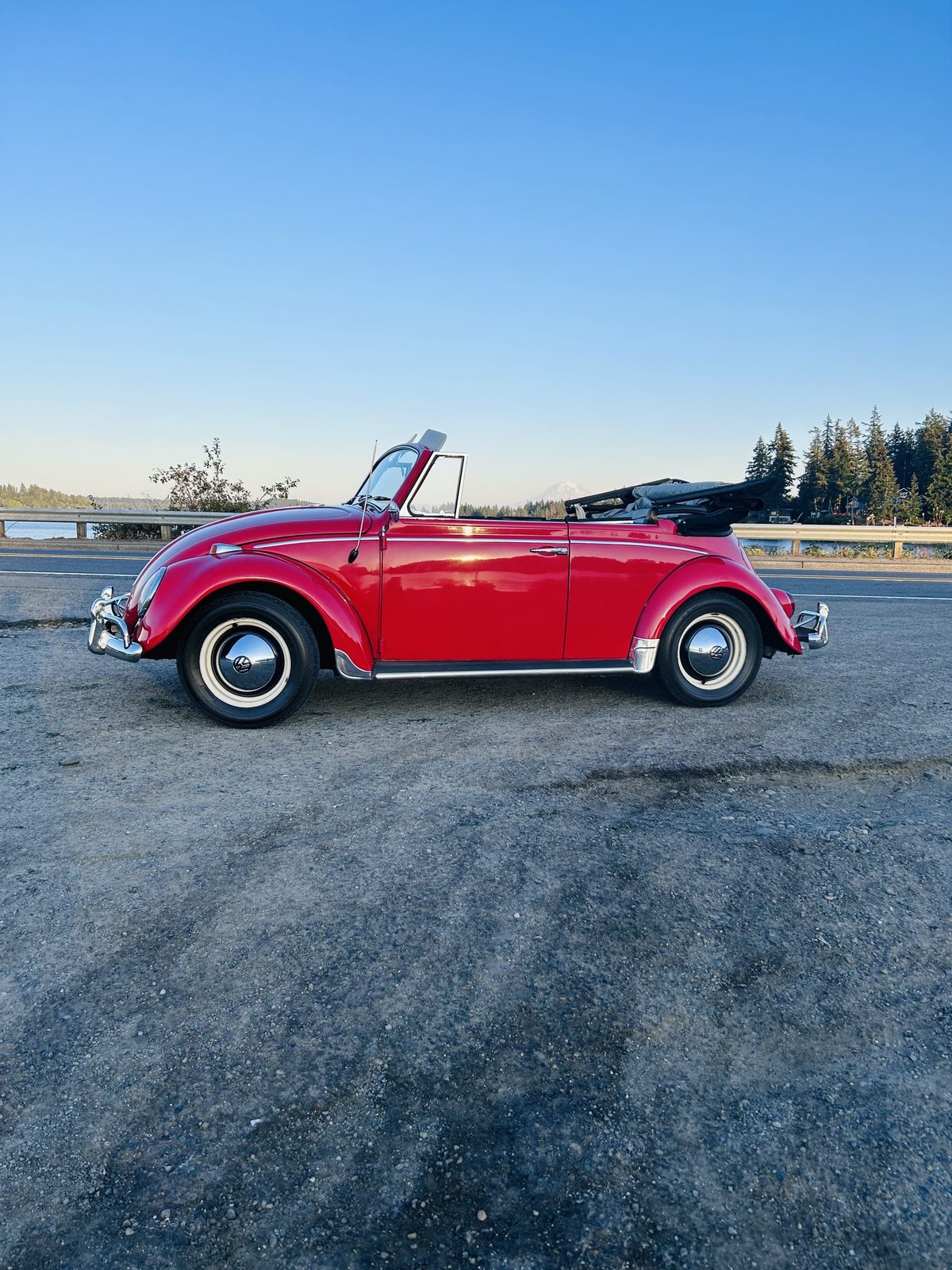 1965 VW Beetle Cabriolet, side profile